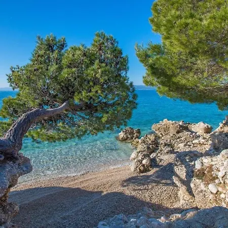 King * מאקרסקה