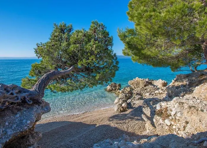 King * Makarska